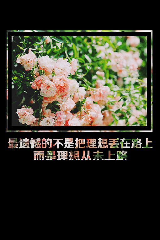 去做自己想做的