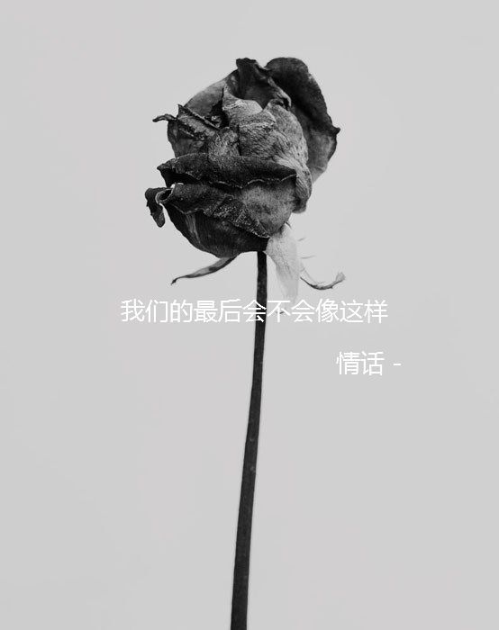 唯美图片，文字图片，动漫图片，情侣图片,qqqqp.com