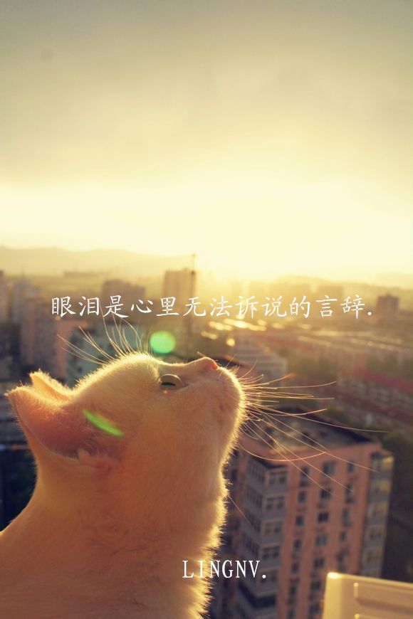 唯美图片，文字图片，动漫图片，情侣图片,qqqqp.com