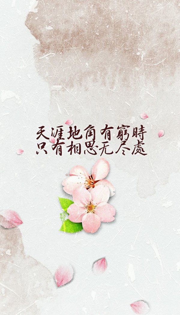 愿得一人心 白首不分离