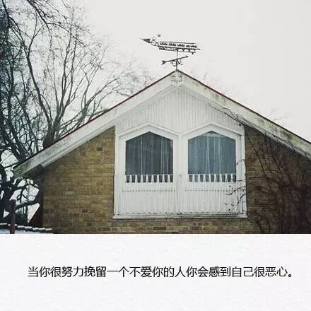唯美图片，文字图片，动漫图片，情侣图片,qqqqp.com