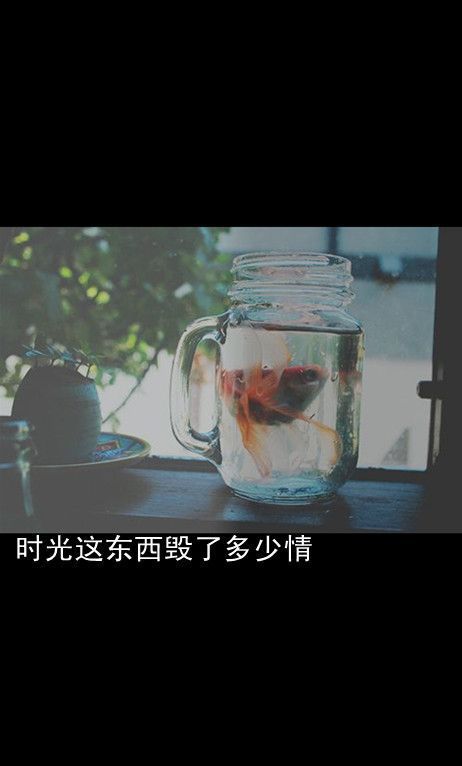 我很好，再捅几刀依旧骄傲