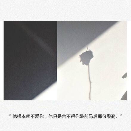 唯美图片，文字图片,情侣图片qqqqp