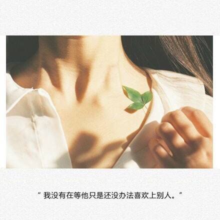 唯美图片，文字图片,情侣图片qqqqp