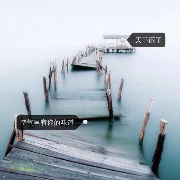 喜欢鱼，为什么？因为它的记忆只有七秒