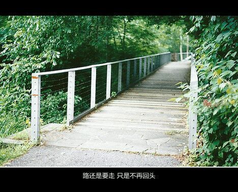 路还是要走，只是不再回头