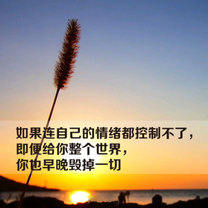 请点击本图预览实际效果 qqqqp