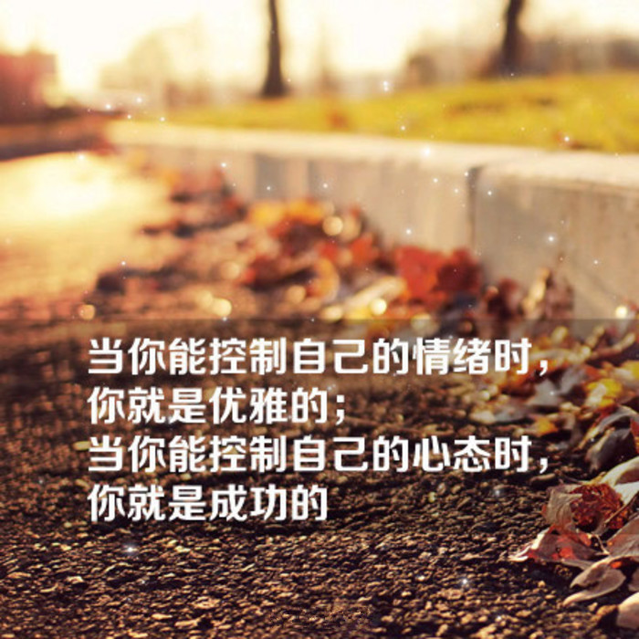 请点击本图预览实际效果 qqqqp