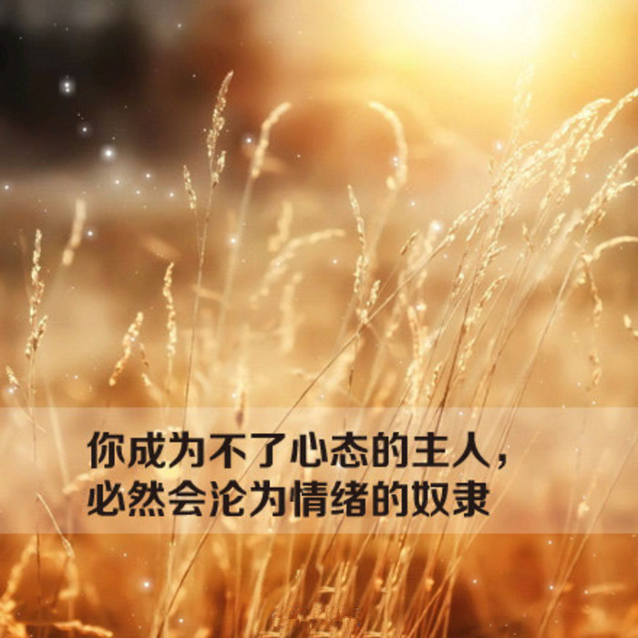 请点击本图预览实际效果 qqqqp