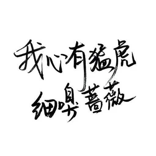 唯美图片，文字图片,情侣图片qqqqp