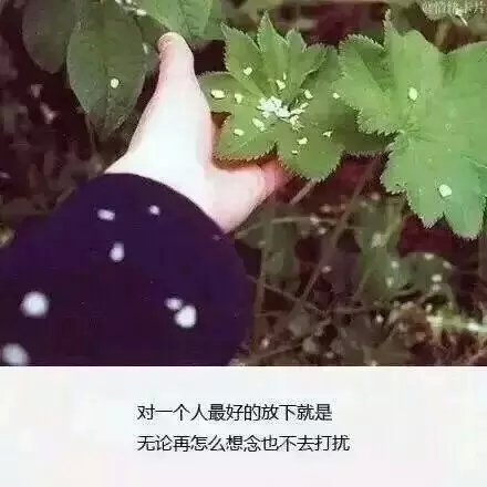 世界上有两种痛，一种是永远得不到，另一种是失去了就再也回不来