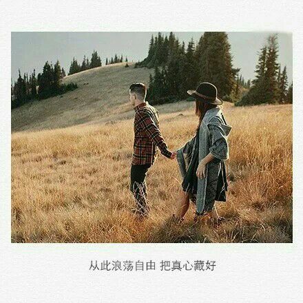 从此浪荡自由，把真心藏好