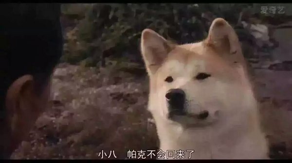我没有离开，一直在等着你
