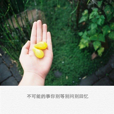 故事不动人，但是说故事的却总掉眼泪