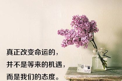 给正在迷茫中的你 唯美文字图片