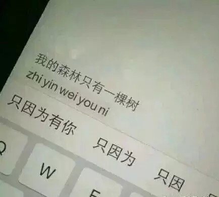 我不是在等天亮，而是在等你一句晚安