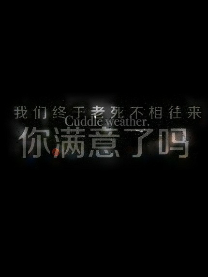 像说过那样得爱我