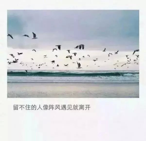 留不住的人 像阵风 遇见就离开