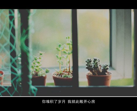 唯美图片，文字图片，动漫图片，情侣图片,qqqqp.com