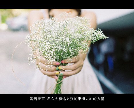 唯美图片，文字图片，动漫图片，情侣图片,qqqqp.com