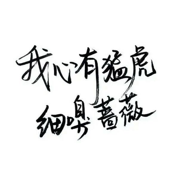 唯美图片，文字图片,情侣图片qqqqp