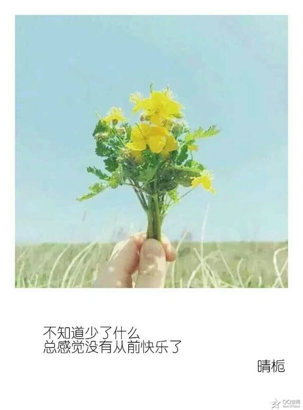 唯美图片，文字图片,情侣图片qqqqp