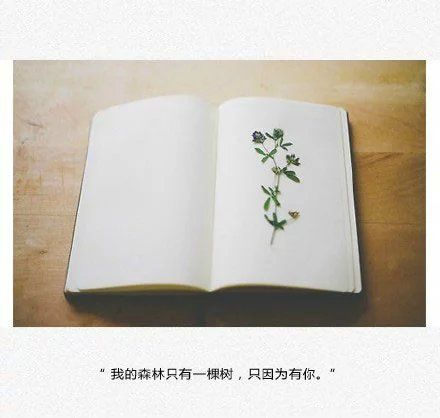 唯美图片，文字图片，动漫图片，情侣图片,qqqqp.com
