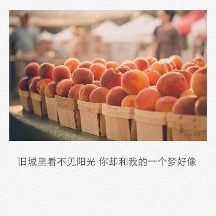 唯美图片，文字图片，动漫图片，情侣图片,qqqqp.com
