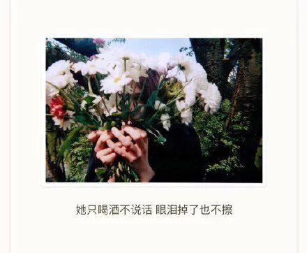 唯美图片，文字图片，动漫图片，情侣图片,qqqqp.com