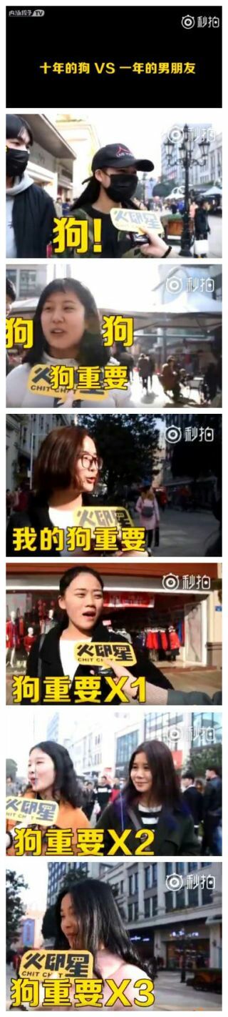 10年的狗和1年的男朋友 谁比较可靠