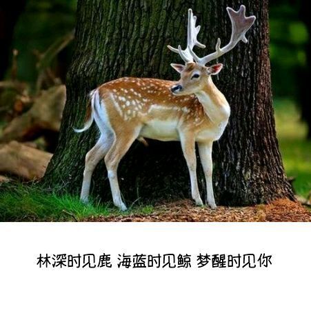 人这一生，还是应该自私点，别委屈了自己才好