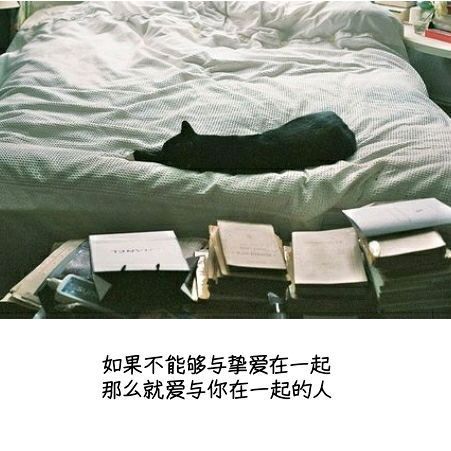 唯美图片，文字图片,情侣图片qqqqp