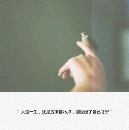 唯美图片，文字图片,情侣图片qqqqp