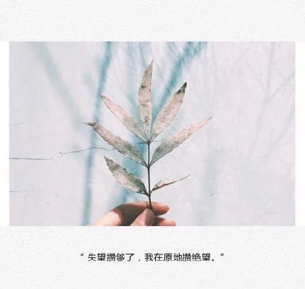 唯美图片，文字图片，动漫图片，情侣图片,qqqqp.com