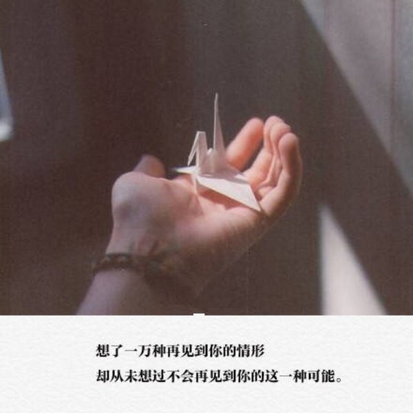 唯美图片，文字图片，动漫图片，情侣图片,qqqqp.com