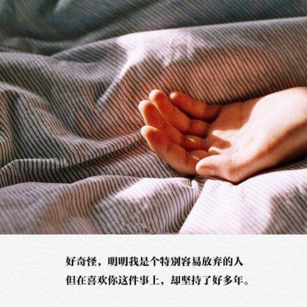 唯美图片，文字图片，动漫图片，情侣图片,qqqqp.com