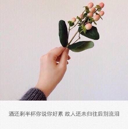 唯美图片，文字图片,情侣图片qqqqp