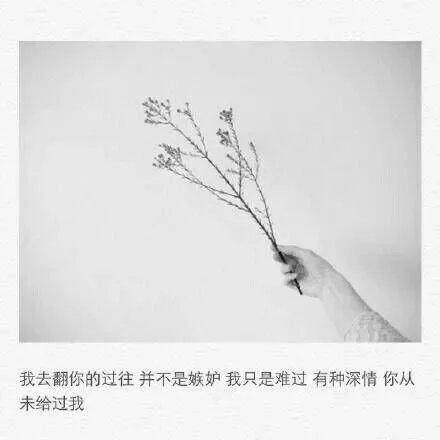 唯美图片，文字图片,情侣图片qqqqp