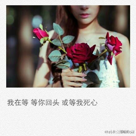 唯美图片，文字图片，动漫图片，情侣图片,qqqqp.com
