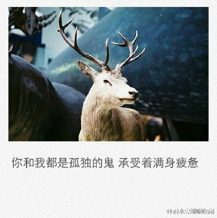 唯美图片，文字图片，动漫图片，情侣图片,qqqqp.com