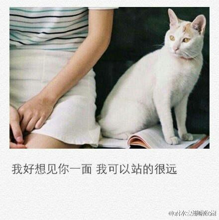 唯美图片，文字图片，动漫图片，情侣图片,qqqqp.com