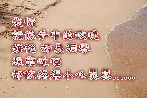 唯美图片，文字图片,情侣图片qqqqp