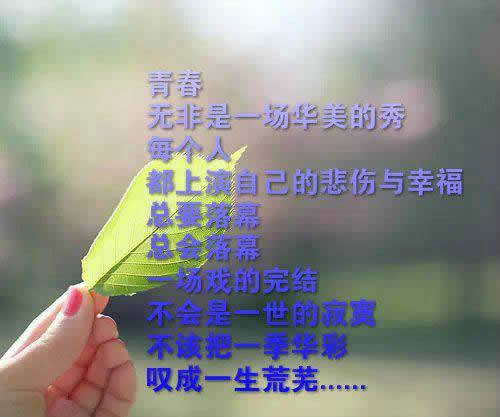 唯美图片，文字图片,情侣图片qqqqp