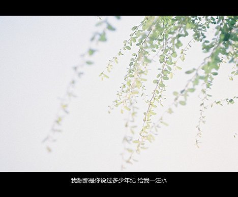 唯美图片，文字图片,情侣图片qqqqp