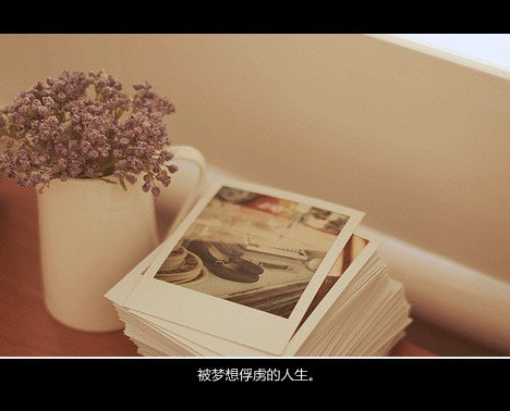 只是后来，我还给你了自由，撤出了有你的路