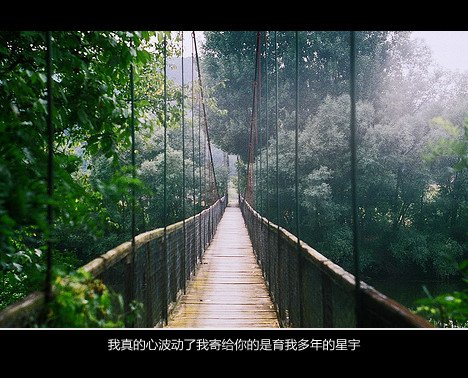 唯美图片，文字图片,情侣图片qqqqp