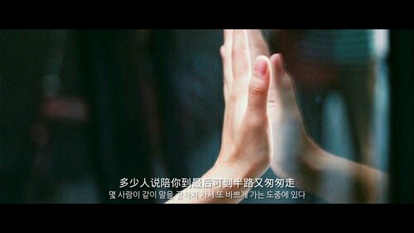很少人说陪你到最后 可到半路又匆匆走