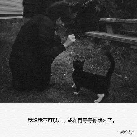 唯美图片，文字图片,情侣图片qqqqp