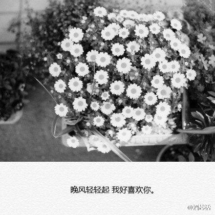 唯美图片，文字图片,情侣图片qqqqp