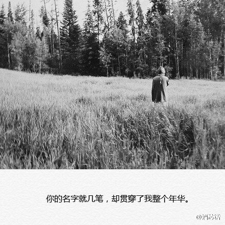 唯美图片，文字图片,情侣图片qqqqp